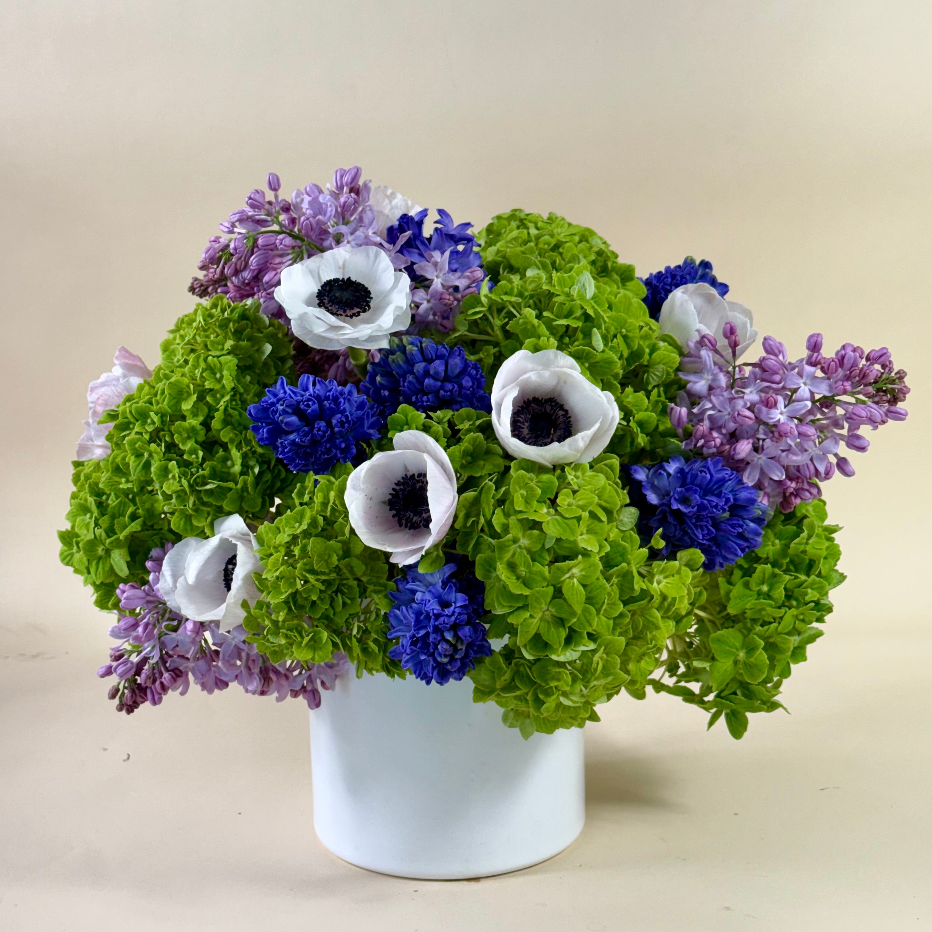 Tré Bloom No. 11