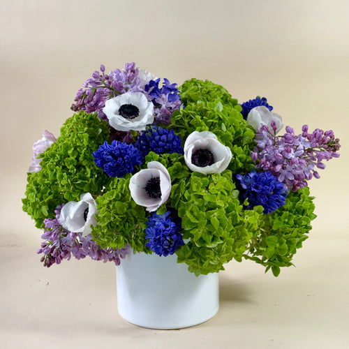 Tré Bloom No. 11