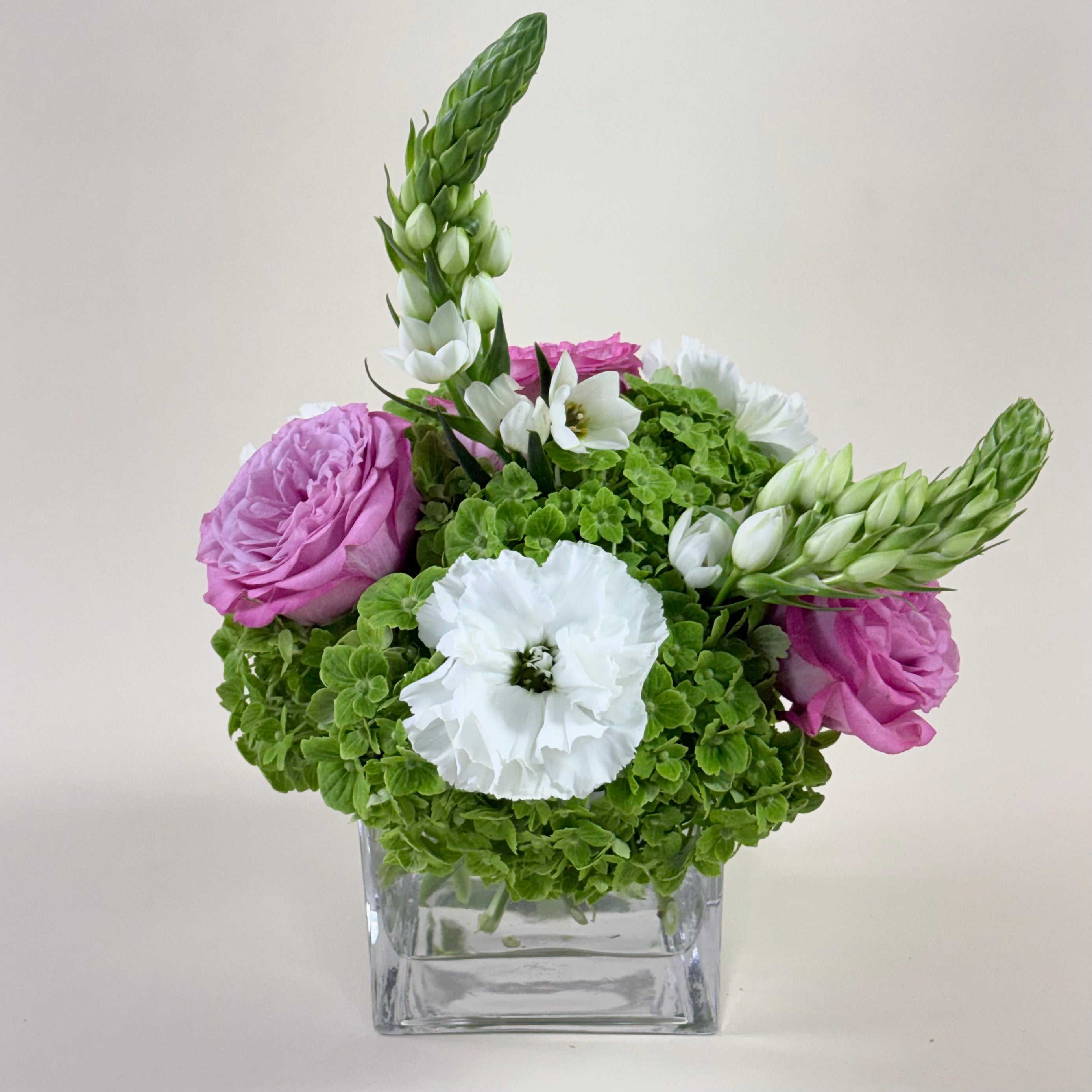 Tré Bloom No. 15